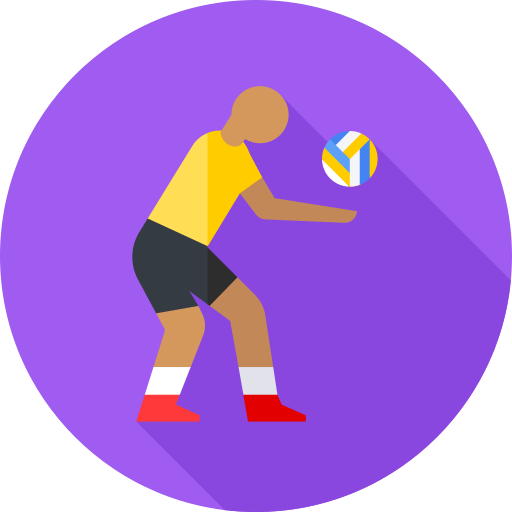 volleyball3